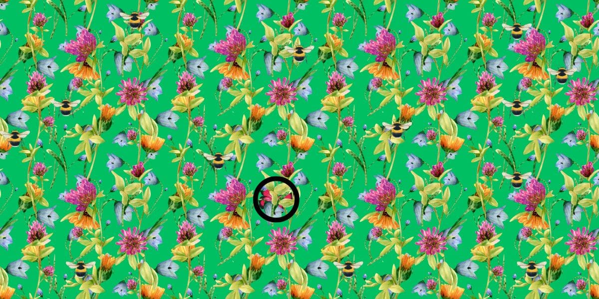 Find sommerfuglen hjernetrim udfordring: Find den enkelte sommerfugl på 6 sekunder eller mindre!