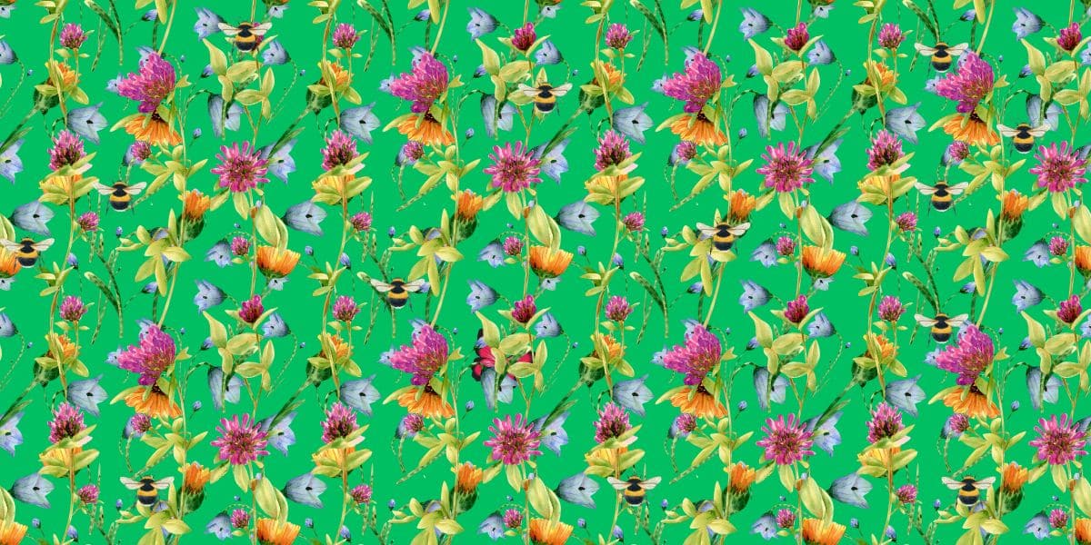 Find sommerfuglen hjernetrim udfordring: Find den enkelte sommerfugl på 6 sekunder eller mindre!