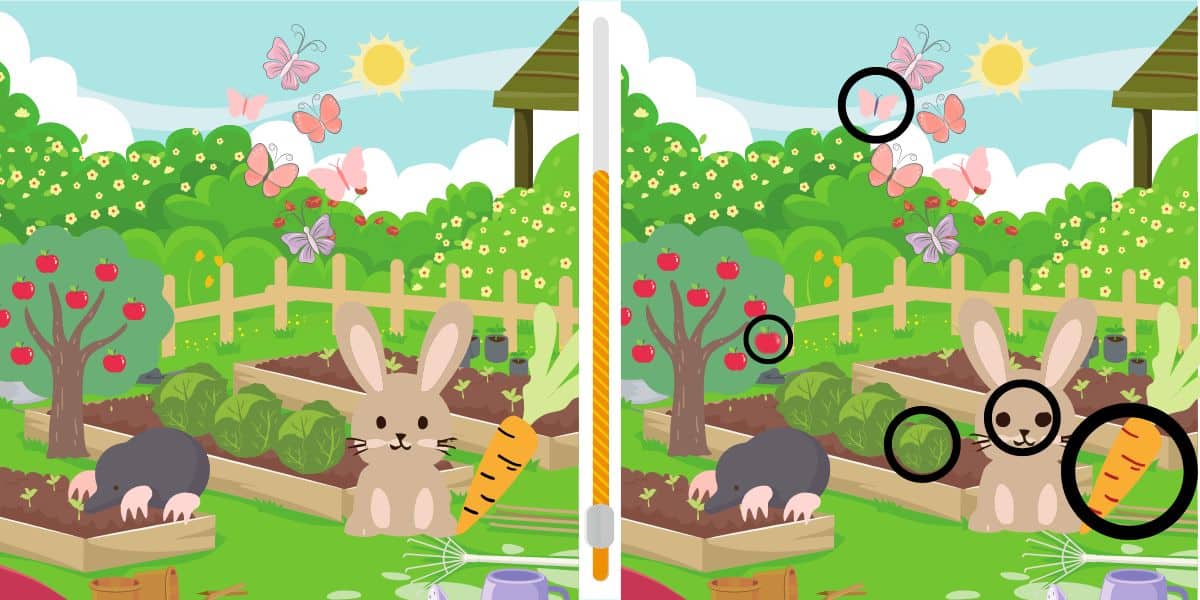 Kan du finde de 5 forskelle i køkkenhaven på 18 sekunder eller mindre? Udfordr dig selv med dette spot the difference-spil!