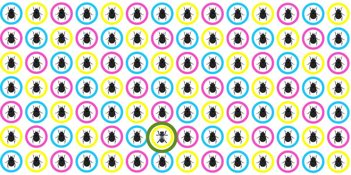 Find fluen