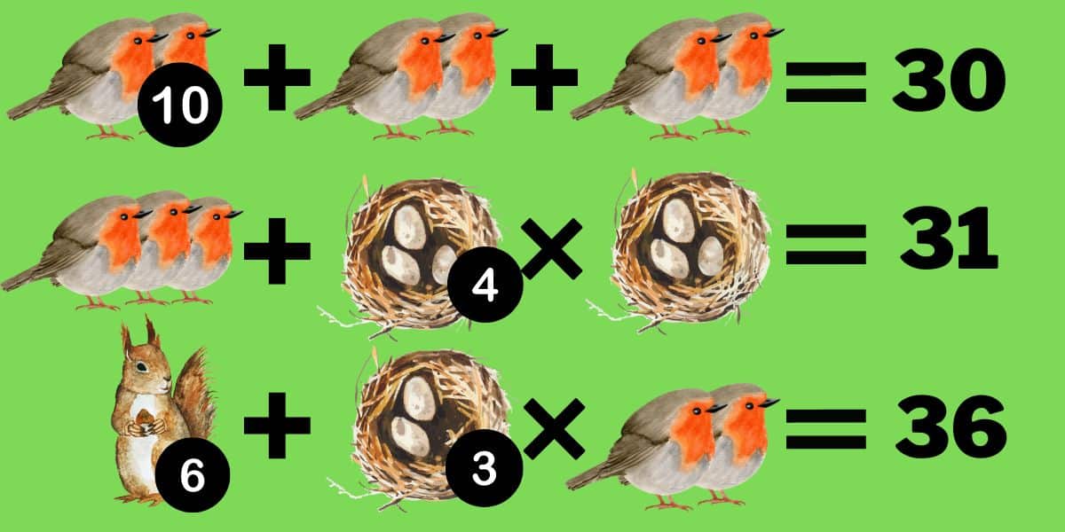 Brain Teaser: Knæk koden & løs dyrets ligning på 8 sekunder - test dine logiske evner!