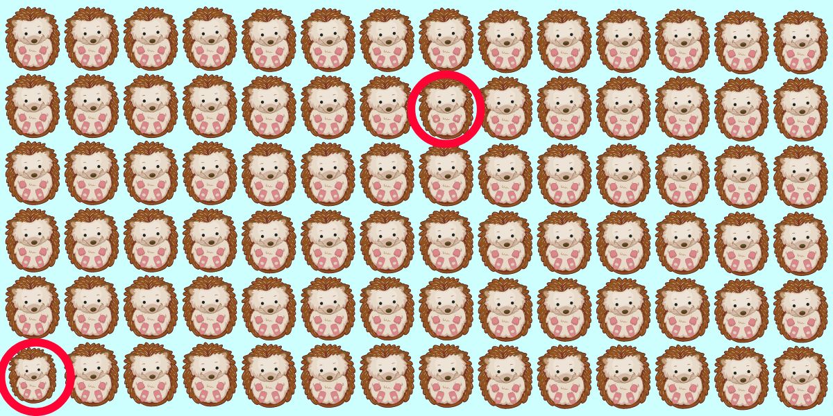2 % af alle mennesker kan finde den mærkelige på 10 sekunder: Kan du finde de pindsvin, der ikke hører til?